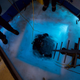 Diving beneath the Antarctic sea ice. Photo Courtesy Science Under the Ice